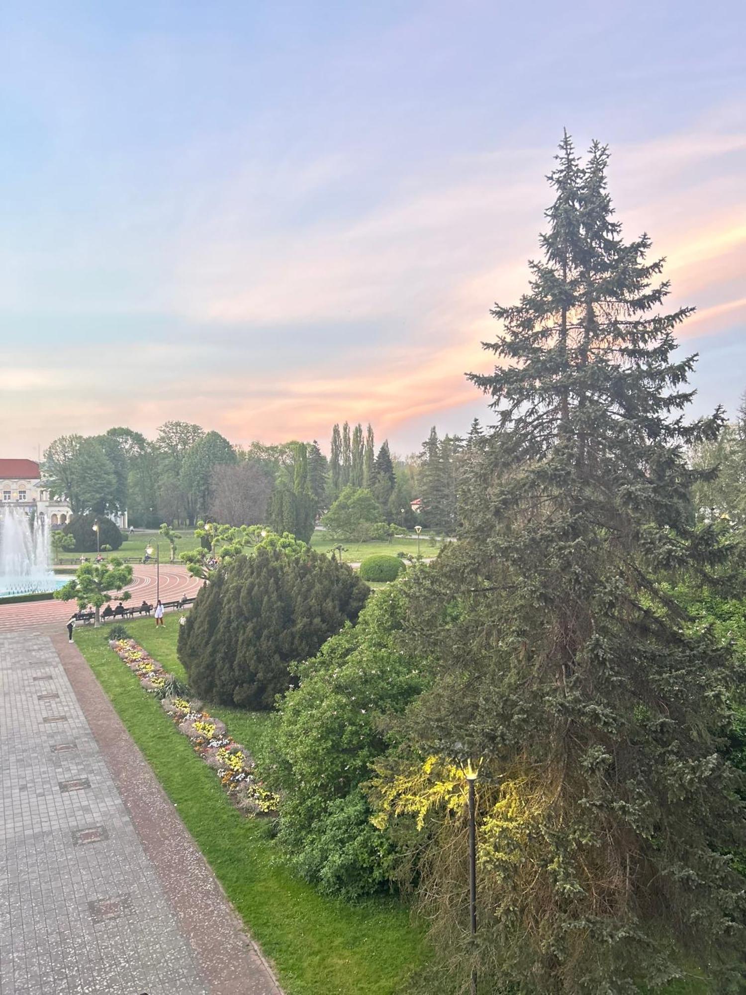 Banja Koviljača Vila Drina Apartments المظهر الخارجي الصورة